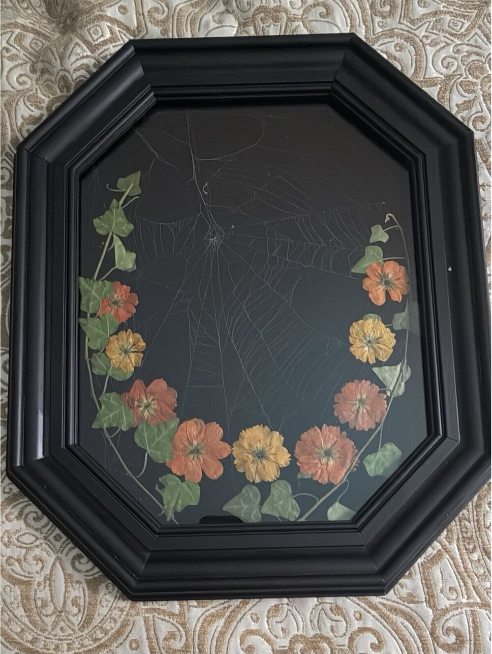 Spider Web Preserved On Black Velvet Vintage Wood Framed Ferns Halloween Decor